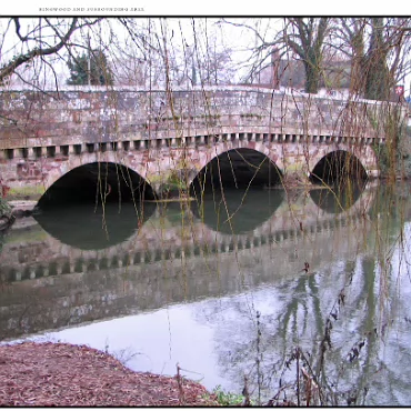 Ringwood, Hampshire, UK Nestled at the edge (now) of the New Forest, Ringwood is my home town in the UK